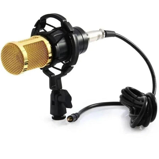 Condenser Microphone Podcast Studio Professional Recording