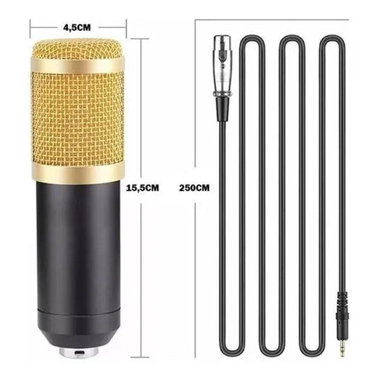 Condenser Microphone Podcast Studio Professional Recording